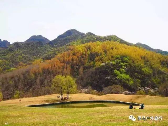 连售10座万达广场,王健林已6年没“唱歌”:还办个屁年会